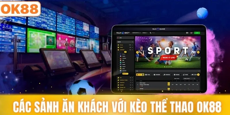 Các sảnh ăn khách với kèo thể thao đa dạng