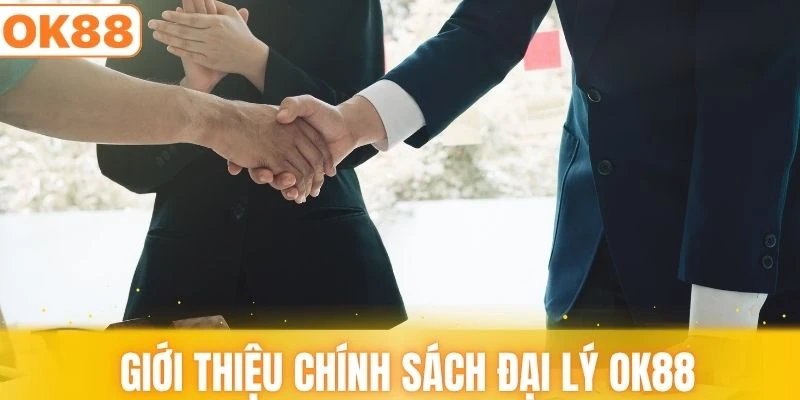 Chính sách đại lý được nhiều người quan tâm
