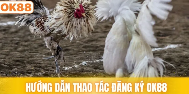 Hình thức chọi gà cựa sắt kịch tính nhất