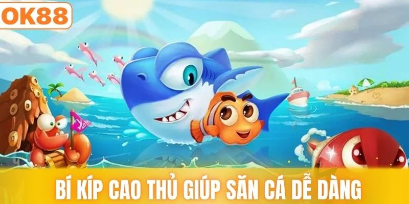 Mẹo thực tế của cao thủ giúp săn cá dễ dàng