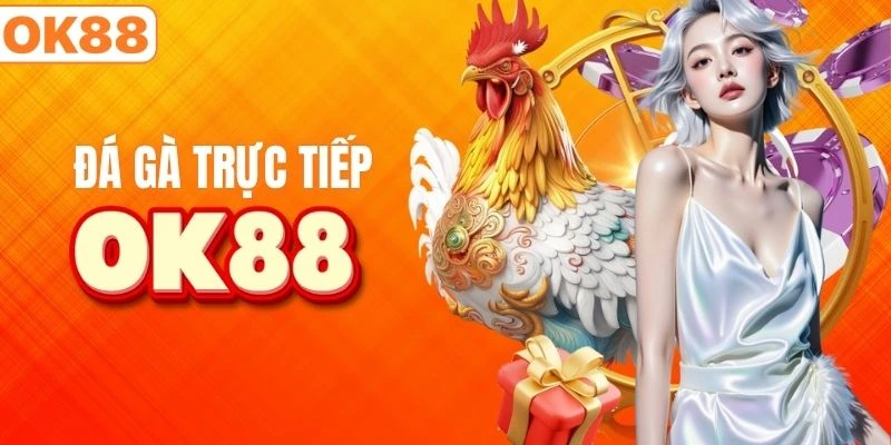 Những màn so kè nảy lửa giữa các chiến kê