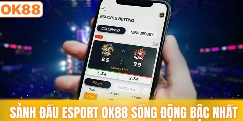 Sảnh đấu trực tuyến sống động bậc nhất esport OK88
