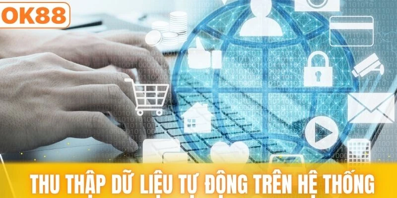Thu thập dữ liệu tự động trên hệ thống