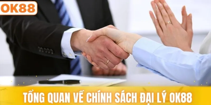 Tổng quan chi tiết chính sách đại lý OK88
